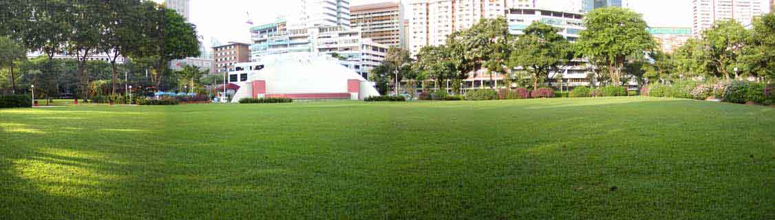 Hong-Lim-Park