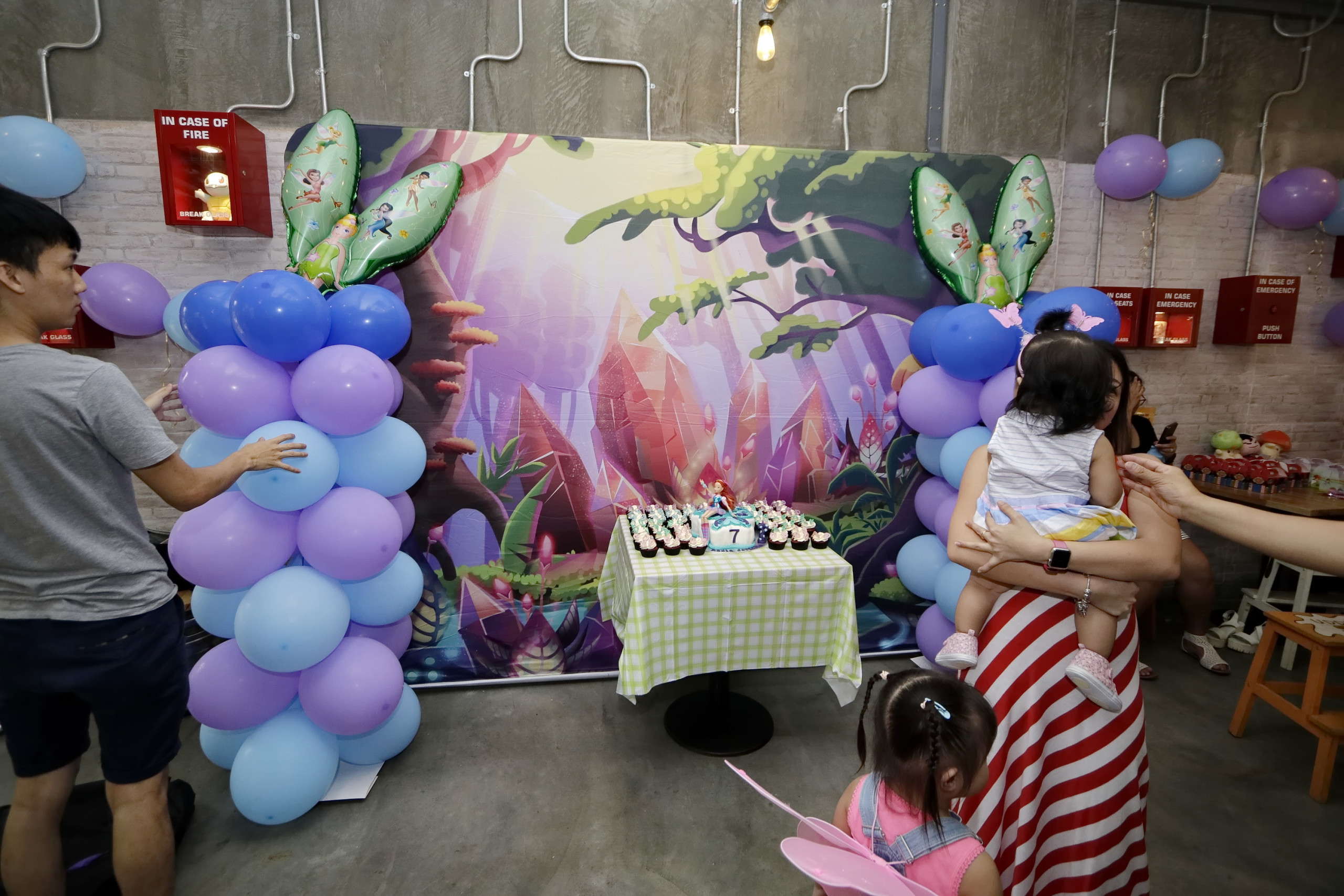 fairy party backdrop