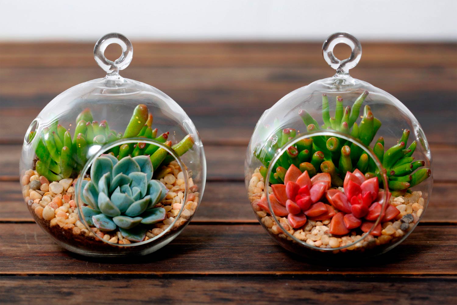 terrarium workshop terrarium workshop