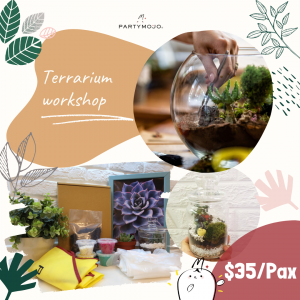 virtual terrarium making workshop