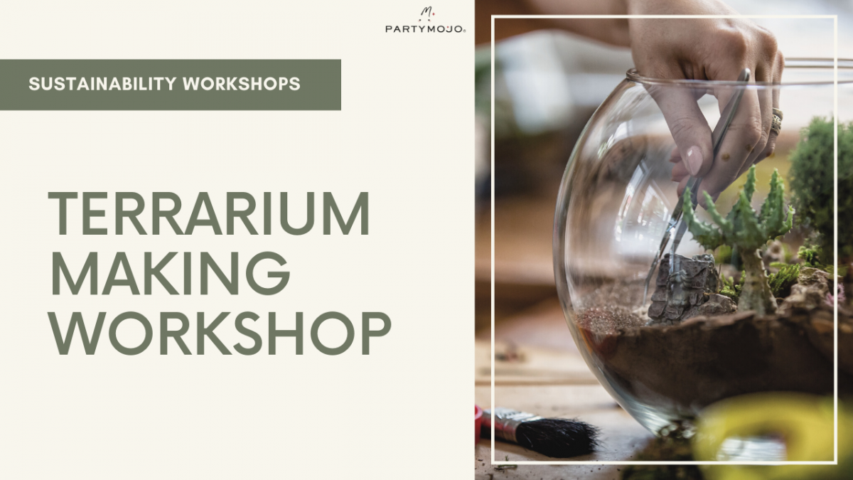 virtual terrarium workshop