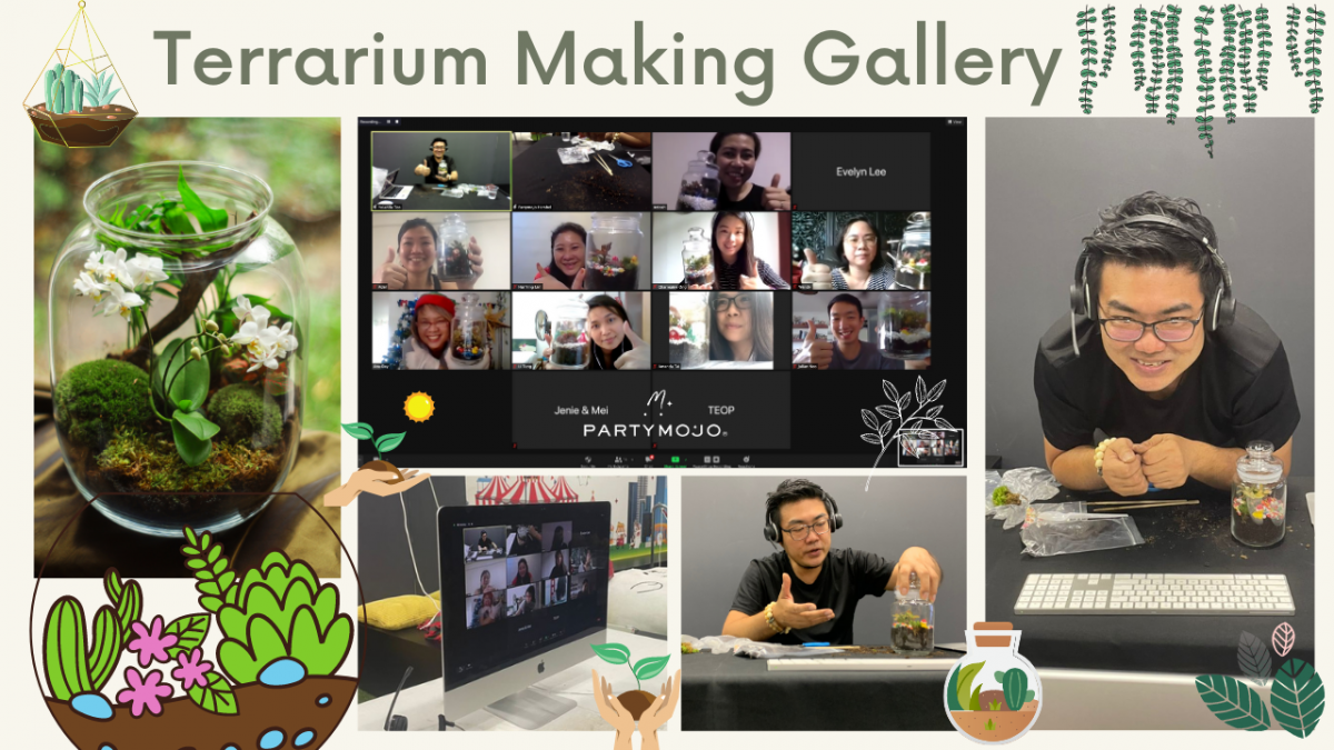 virtual terrarium making workshop virtual terrarium making workshop