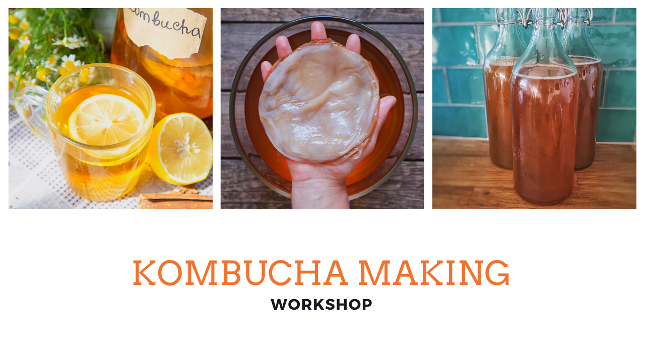 Virtual Kombucha Making Workshop