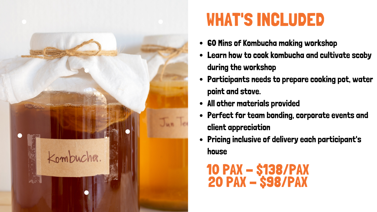 Virtual Kombucha Making Workshop