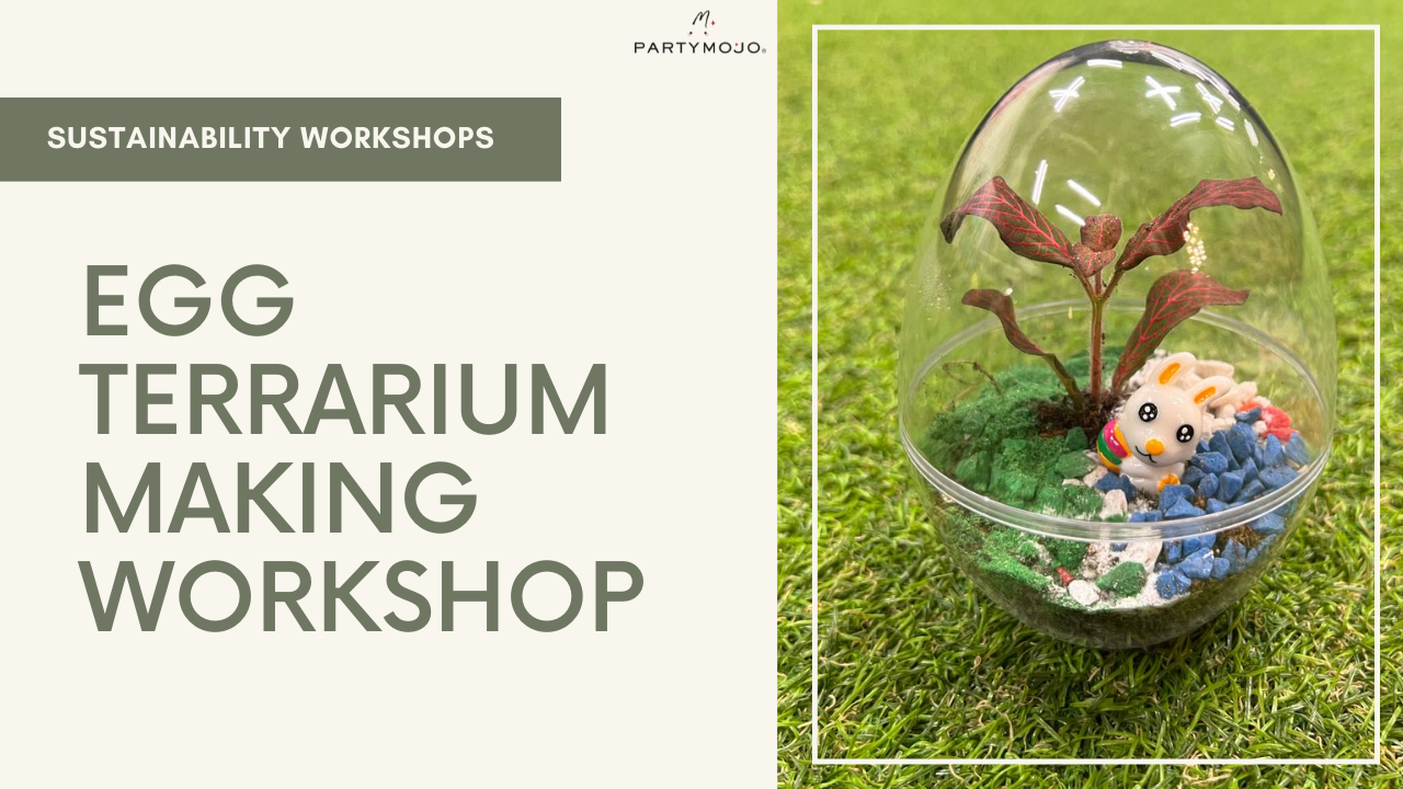 egg terrarium workshop