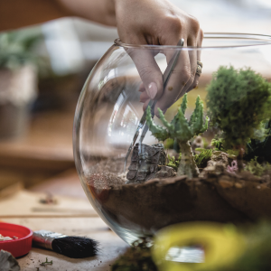 Virtual Terrarium workshop