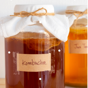 Virtual Kombucha Making Workshop