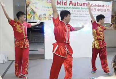 Wu Shu Performance