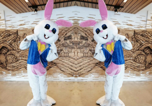 Easter Bunny mascot Easter Bunny mascot