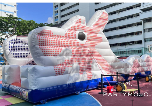TPY Dragon inflatable