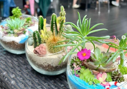Dragon Boat Themed Terrarium