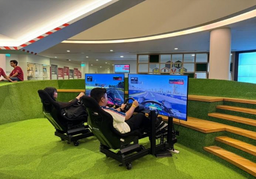 Cage Racing Simulator