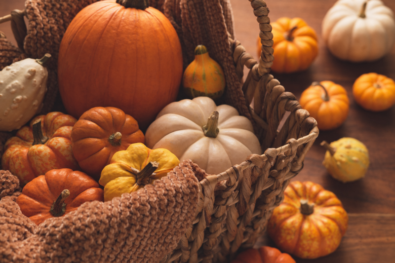 autumn fair