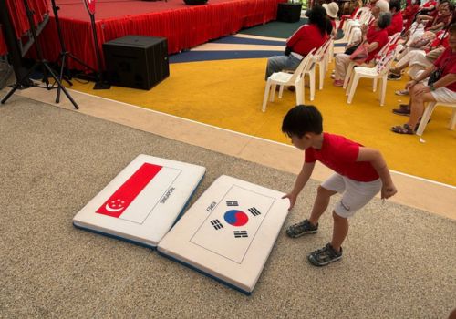 Giant Country Erasers rental